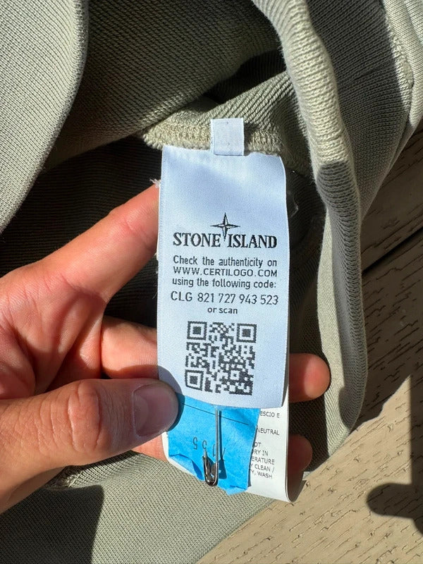 Stone Island Hoodie in Sage Green