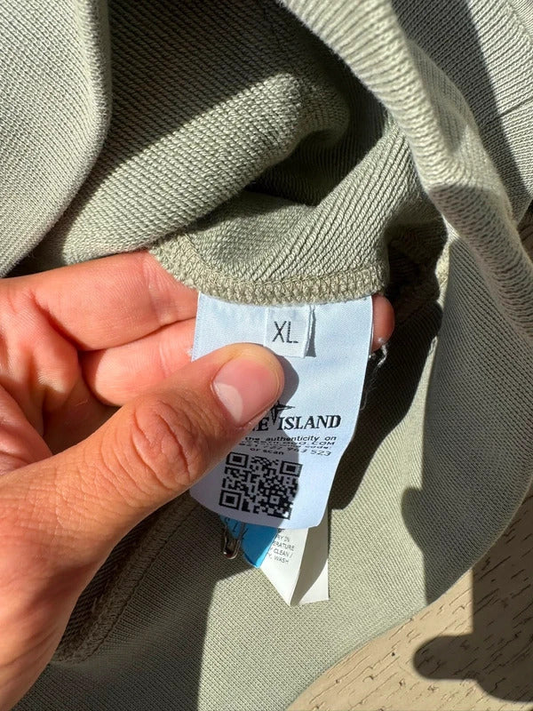Stone Island Hoodie in Sage Green